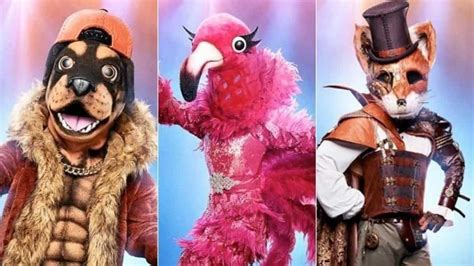 Who Won The Masked Singer Season 2 Final Singers Fox Rottweiler And