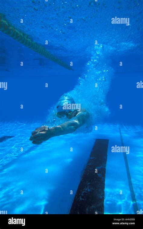 Australia Queensland Woman Diving Into Pool Mr Available Stock Photo