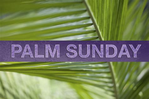 Palm Sunday Event Our Saviours Lutheran Church