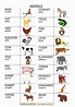 Mappe per la Scuola - ANIMALS - animali | Attività con animali, Pagine ...