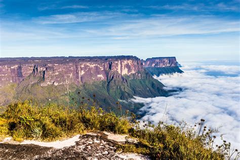 The Mystical Summit Of Mount Roraima Between Venezuela Brazil And