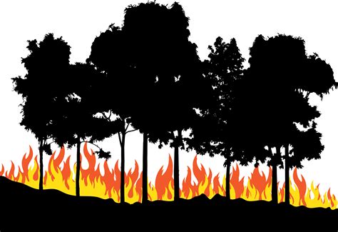 Fire Euclidean Vector Fire In The Woods Png Download 58334004