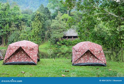 Camping Tents By Lake Stock Photo Image Of Holiday Scenery 40612676