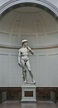 Michelangelo Buonarroti, David, 1502-04, marmo, h 434 cm, Firenze ...