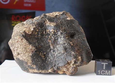 Dhofar 007 Eucrite Cm Sv Meteorites