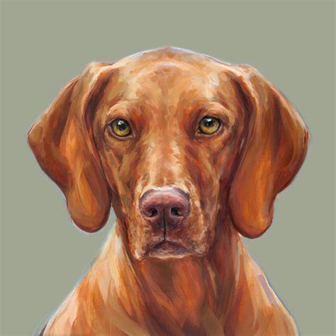 Modern Dog Art Print Of A Vizsla Painting Paintmydog