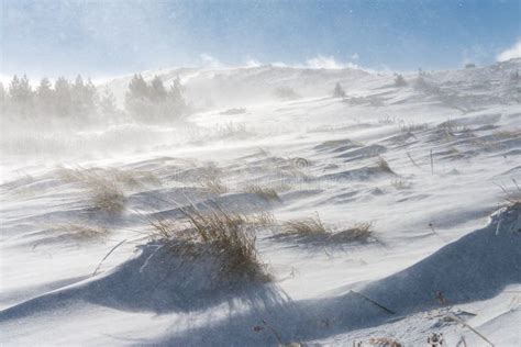 Snow And Strong Winds Cause Blizzard Conditions On Mountains Stock Photo Image Of Snowy