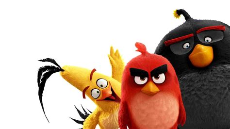 Angry Bird Hd Mobile Wallpapers Wallpaper Cave