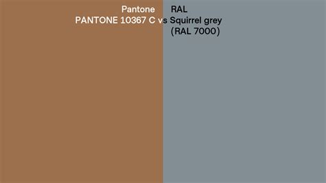 Pantone 10367 C Vs RAL Squirrel Grey RAL 7000 Side By Side Comparison
