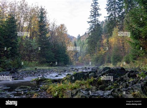 Okertal Im Herbst Hi Res Stock Photography And Images Alamy