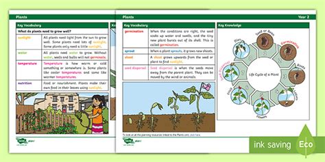 Why do pupils need to listen to the instruction of the teacher when in the science room? Science Knowledge Organiser: Plants Year 2 (teacher made)