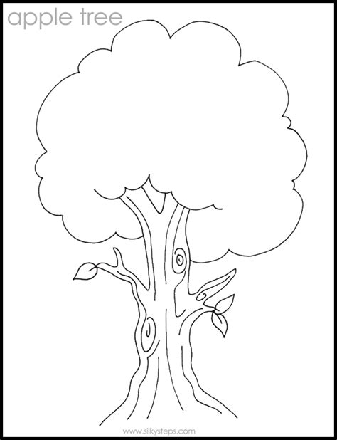 Clip art apple fruit drawing mango clipart. Outline Of Tree - Coloring Home