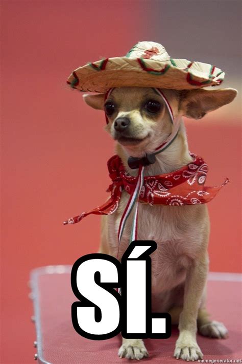 Sí Dog With Sombrero Meme Generator