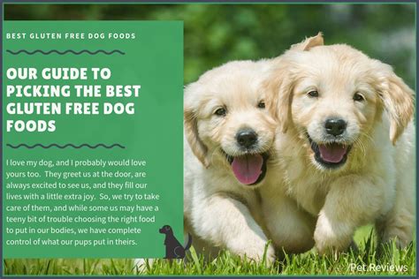 And have a best before. 10 Best Gluten Free Dog Foods Brands & Recipes in 2020