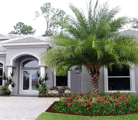 50 Florida Landscaping Ideas Front Yards Curb Appeal Palm Trees