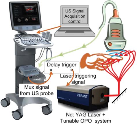Photoacoustic And Ultrasound Dual Modality Imaging Of Human Peripheral