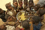 Hunger on rising trend in Africa as 257 million Africans are hungry ...
