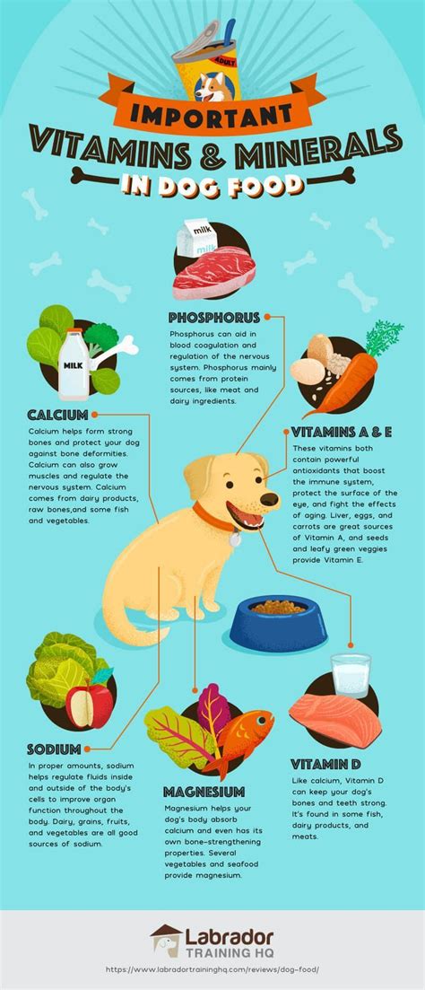 Best Dog Foods Our Complete Guide For 2017 Lthq We Ll Also