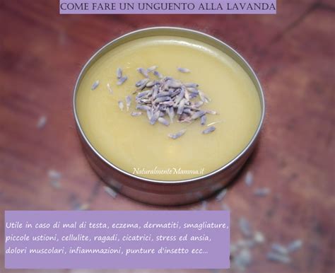 Noooo meglio un'alternativa naturale fatta in casa in pochi secondi! Unguento alla Lavanda: Semplice e Versatile Ricetta Fai da ...