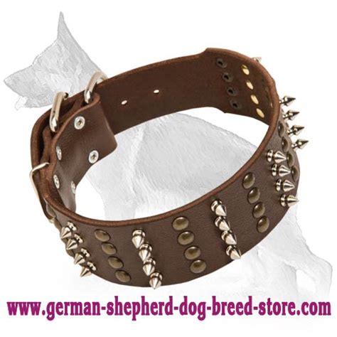 Noble Spiked Studded Leather Collar German Shepherd Breed Dog