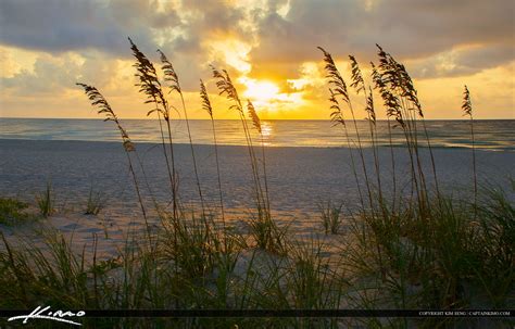 Sunrise Singer Island Beach Florida Seaoats Royal Stock Photo