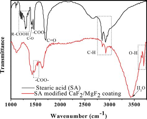 Ft Ir Spectra Of Stearic Acid And The Stearic Acid Modified Caf