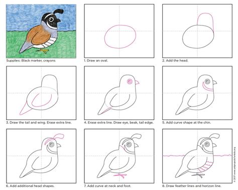 How to draw angry birds step 4. How to draw the California Quail · Art Projects for Kids