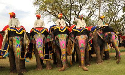But the camel said, humph ! the horse told the man about it. Het Indiaanse festival van de versierde olifanten ...