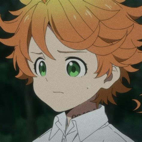 Pin By Morgan Cherecwich On Anime Icons The Promised Neverland Icons