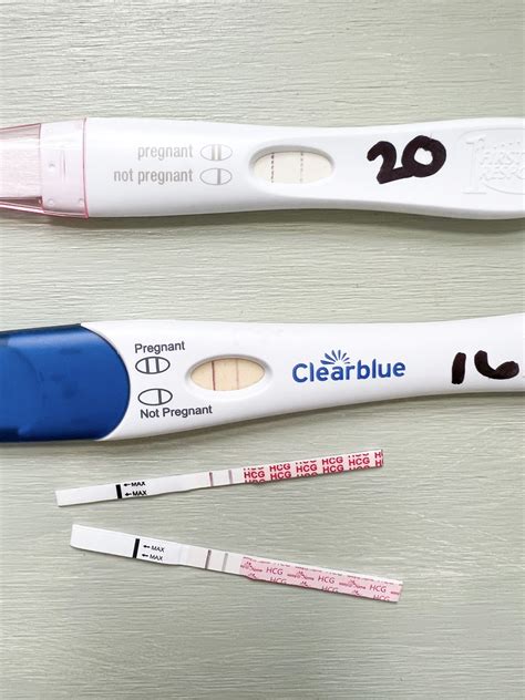 What Is A Dye Stealer Pregnancy Test And What Does It Look Like Messy Bun Motherhood