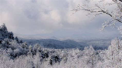 Shared By Mercy Rizo On Fb This View Is Truly A Winter Wonderland