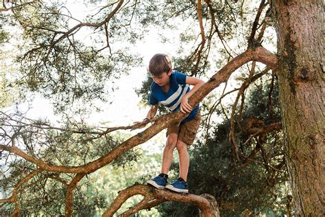Boy Climbing A Tree By Stocksy Contributor Léa Jones Stocksy