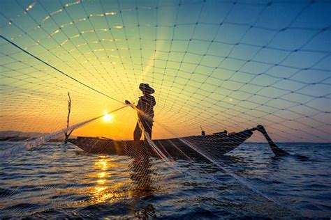 Las 5 Características Más Importantes De La Pesca Sostenible Ecotrendies