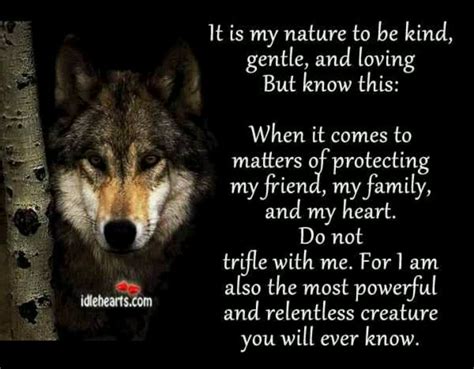 Dont Mess With The Wolf In Me American Quotes Native American
