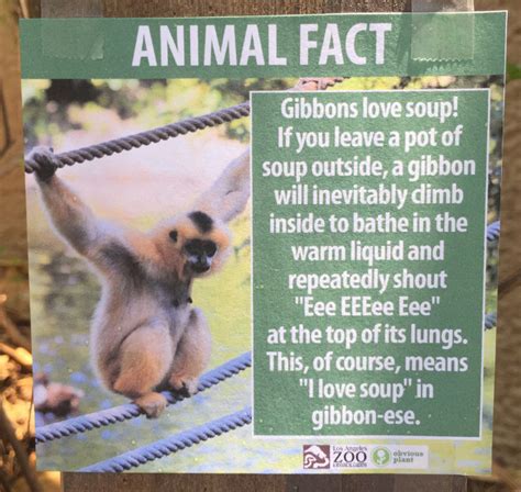 Prankster Leaves Fake Animal Facts At Zoo Fake Animal Fact 6 Viralscape
