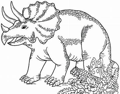 Dinosaur Coloring Pages Dinosaurs Triceratops Jurassic Printable