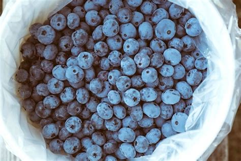 Free Picture Blueberry Berry Sweet Fruit Food Diet Antioxidant