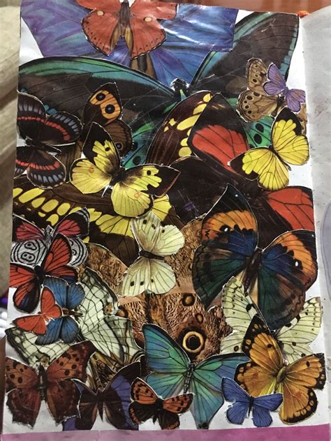 Collageart Art Artjournal Butterfly Butterflies Collagesheet