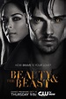Beauty and the Beast (TV Series) (2012) - FilmAffinity