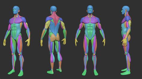 Male Human Base F2u Spear Lpc Opengameart Indrisiak