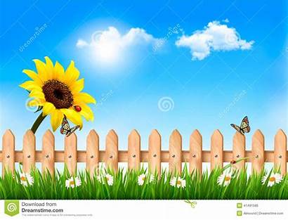 Nature Clipart Background Summer Fence Sunflower Vector