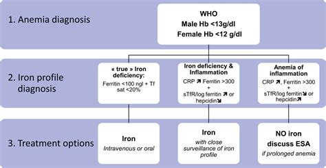 Iron Deficiency In Critically Ill Patients Highlighting The Role Of