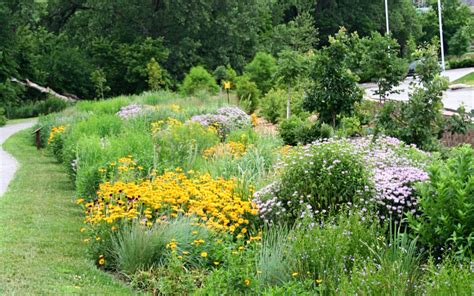 Native Landscape Design How To Achieve The Native Look Great
