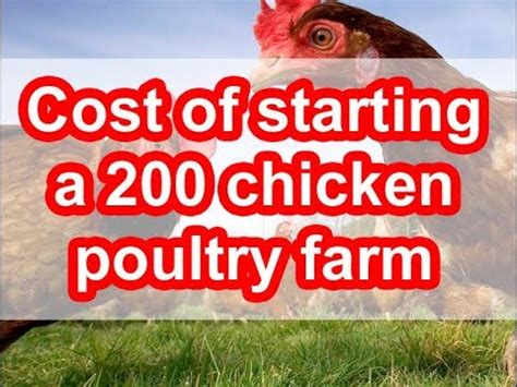 The most important factor for costs has to be expectations and your goals in terms of starting a farm. How much does it cost to start a poultry farm | How to start a poultry farm for 200 kienyeji ...