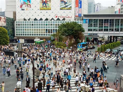 Surviving The Shibuya Scramble Crossing Explore Shaw