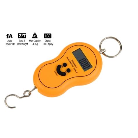 Electronic Portable Scale Ts T05