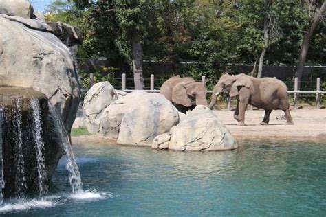 Zoo Entrance Picture Of Roger Williams Park Zoo Providence Tripadvisor