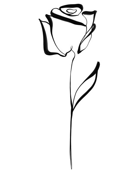 Simple Rose Line Drawing Draw Hio