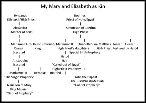 Elizabeth Daughter Of Aaron My Search For The Political Mary
