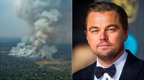 Leonardo Dicaprio Donates 5 Million To Help End Amazon Rainforest Fire Validupdates